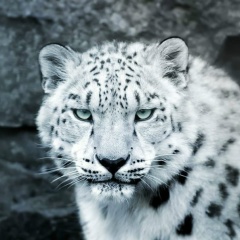 Nurlan Kuandykov, 20.11.1991, Челябинск