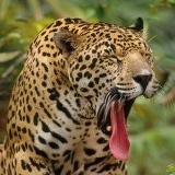 Игорь Иванов, 01.11, Киев