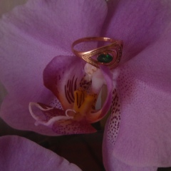 Наталья Королёва, Кривой Рог