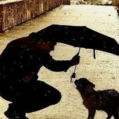 Ринат Сабитов, 09.05.1996, Алматы