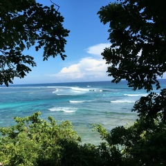 Irina Bashkova, 18.12, Санкт-Петербург