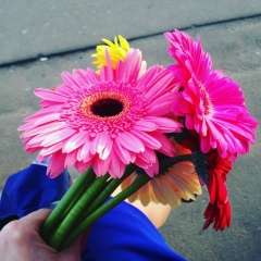 Вита Иванова