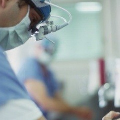 Shizamii Shizamii, Los Angeles