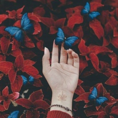 Асель Шахаманова, 15.01, Актобе