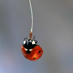 Зилия Хабибулина, 09.06, Казань