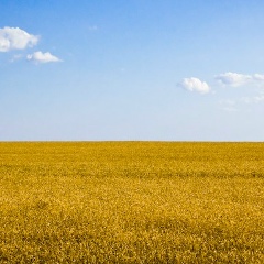 Оля Павлюк, 07.06