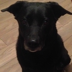 Елена Малецкая, 17.12, Санкт-Петербург