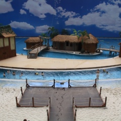 Володимир В, Львов