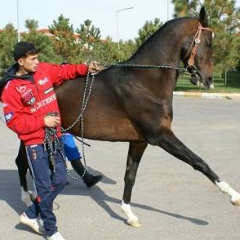 Серик Мадешов, 02.12.1977, Караганда