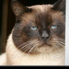 Нина Ворсина, 14.07, Барнаул