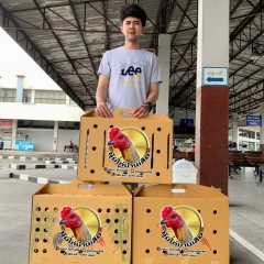 ปอนด์ บ้านเสือ, 29.05.1992