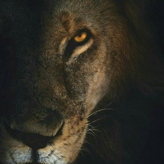 Игорь Дудченко, 21.09.1988, Москва