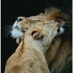 Aigerim Muratbekova, 10.08, Астана