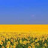 Игорь Блиндер, 23.09, Бровары