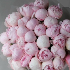 Maria Ark, 13.12, Санкт-Петербург