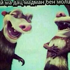 Муса Хасуев