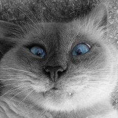 Мария Дроботова, 14.11.1989, Москва