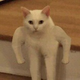 Тратата Тратата, 10.06, Киев