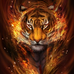 Айша Серик, 15.04