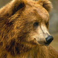 Михаил Некрасов, 19.04.1985, Алматы