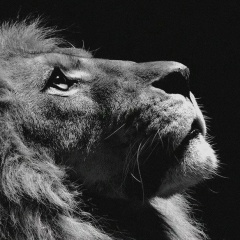 Dmitrii Kurilenko, 22.08, Санкт-Петербург