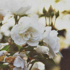 Асель Тажибековна, 22.07.1987, Алматы