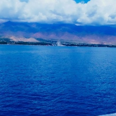 Адыл Усенов, 29.10.1994, Томск