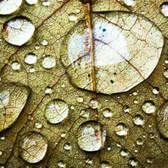 Алина Мышляева, 02.12.1988, Владивосток