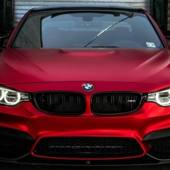 Денис Долгов, 07.07.1989, Ростов-на-Дону