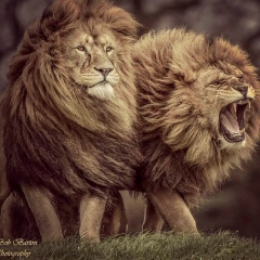 Магомед Майдинович, 16.08.1992, Ставрополь