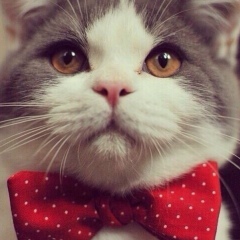 Alex Kazakov, 15.06, Москва