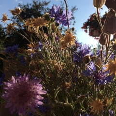 Юля Морохова, 30.10.1985