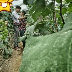 Phyo Thiha, 28.09.1989, Зеленоград