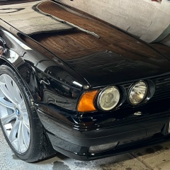 Вася Бабушкин, Волгоград