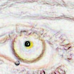 Альбина Альбина