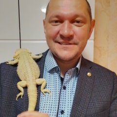 Сергей Мишин, Воронеж