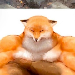 Владимир Первушенков, 06.02.1985, Ярославль