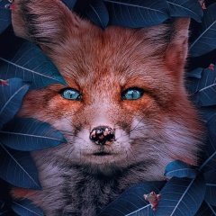 Ксюша Махова, Москва