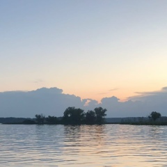 Арти Пират, 21.02