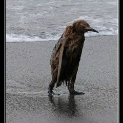 Александр Тиханов, 19.11.1983