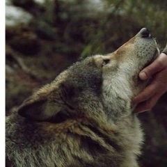 Андрей Петров, 21.08.1991