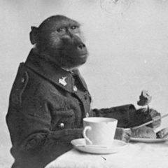 Алексей Орехов, 18.11.1992, Москва