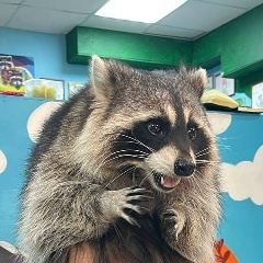 Ермек Кузембаев, 20.10.1990, Тюмень