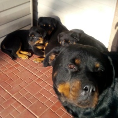 Сергей Боклаг, 21.06, Желтые Воды