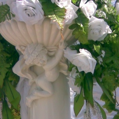 Василий Дондов, Белгород-Днестровский