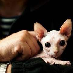 Слава Костин, Нижний Новгород