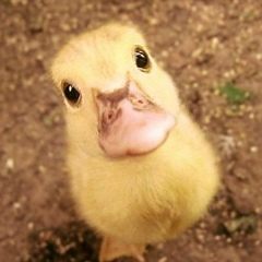 Diana Kramm, 15.01, Москва