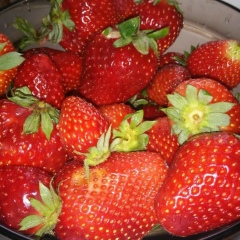 Елена Алферова, 30.11, Москва