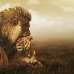 Din-islam Tairov, 03.09, Алматы