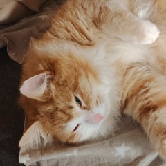 Сережа Павлов, 26.03.1987, Санкт-Петербург